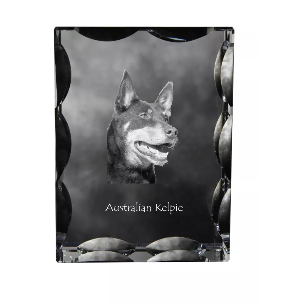 Australian Kelpie, Australischer Schäferhund, Barb - Kristall mit einem Hundebild, Glasstatuette mit einem Bild, einzigartiger Bilderrahmen der Marke Art-Dog