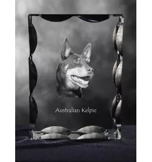 Australian Kelpie, Australischer Schäferhund, Barb - Kristall mit einem Hundebild, Glasstatuette mit einem Bild, einzigartiger Bilderrahmen der Marke Art-Dog