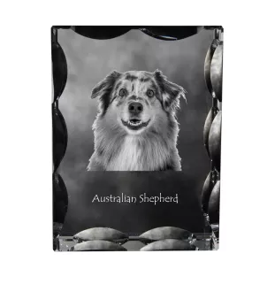 Australischer Schaferhund, Australian Shepherd - Kristall mit einem Hundebild, Glasstatuette mit einem Bild, einzigartiger Bilderrahmen der Marke Art-Dog