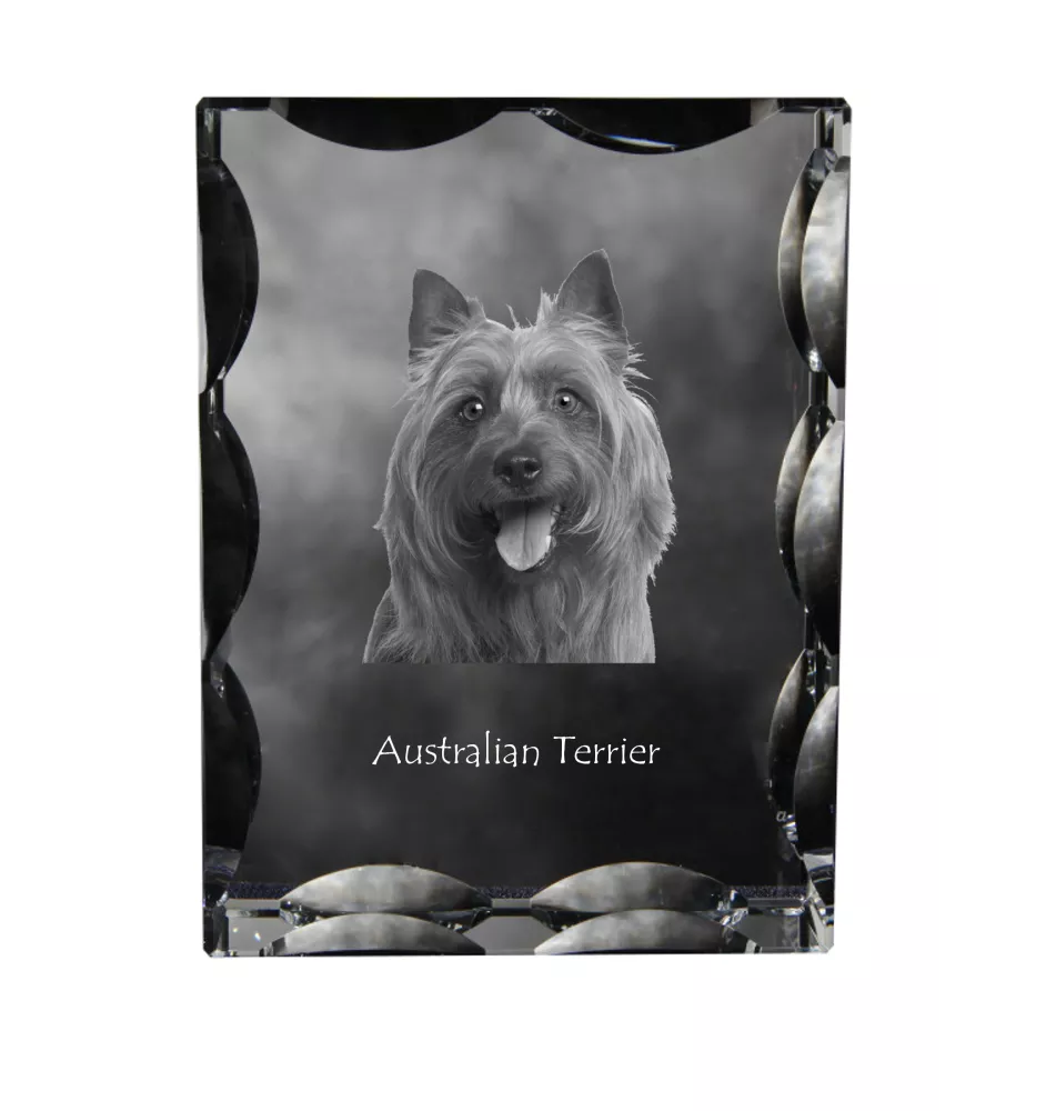 Australian Terrier - Kristall mit einem Hundebild, Glasstatuette mit einem Bild, einzigartiger Bilderrahmen der Marke Art-Dog