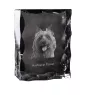 Terrier australien - cristal avec photo de chien, statuette en verre avec photo, cadre exceptionnel avec photo de la marque Art-Dog