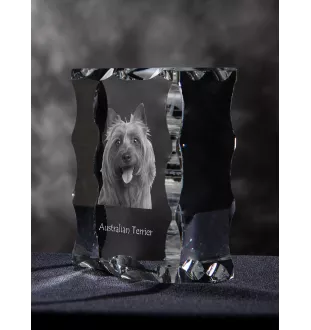 Australian Terrier - Kristall mit einem Hundebild, Glasstatuette mit einem Bild, einzigartiger Bilderrahmen der Marke Art-Dog
