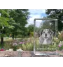 Berger Australien - cristal avec une photo de chien, photo sous verre, exposition moderne de la marque de photos Art-Dog