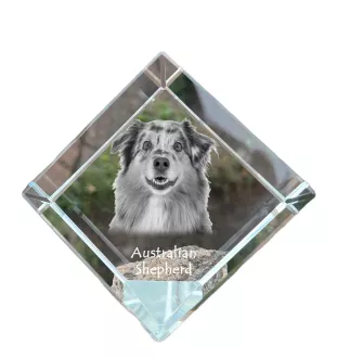 Australischer Schaferhund, Australian Shepherd - Kristallwürfel mit Bild, Pferdebild im Kristall, sechseckiger Papierclip der Marke Art-Dog