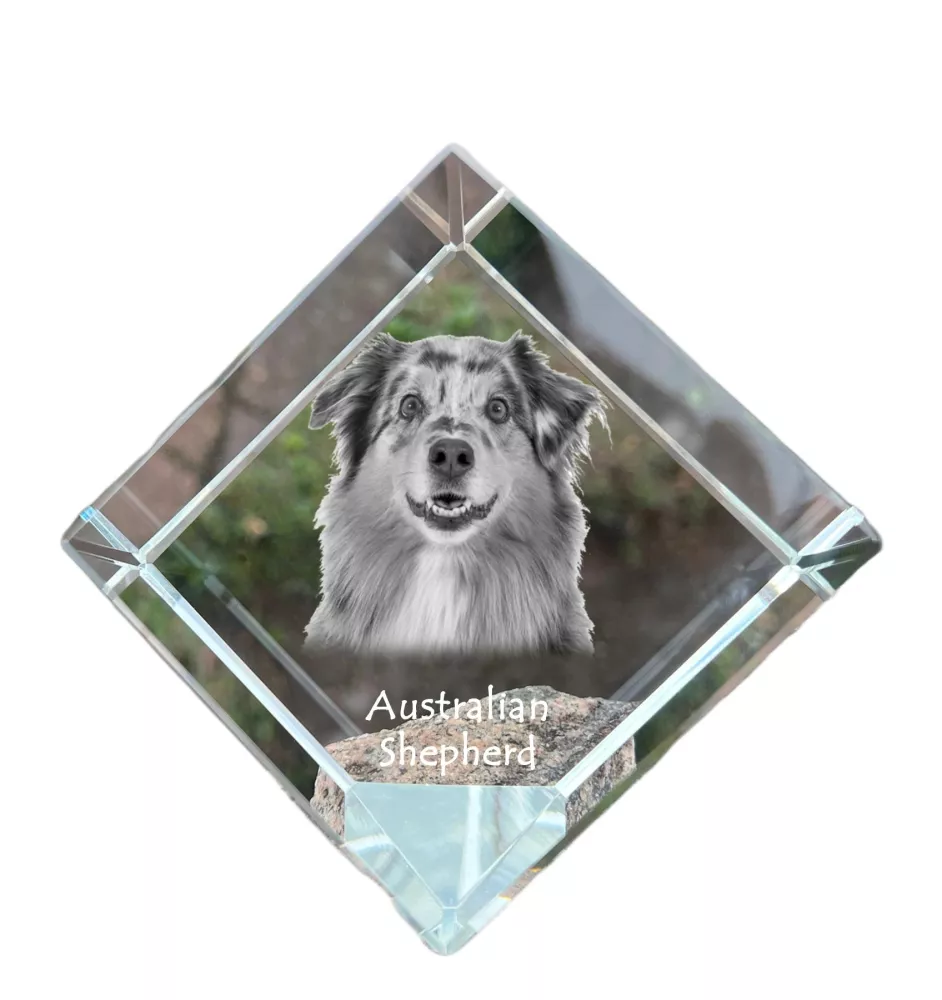 Berger Australien - un cube de cristal avec une photo, une photo de cheval dans le cristal, un presse-papiers cubique de la marque Art-Dog