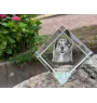 Berger Australien - un cube de cristal avec une photo, une photo de cheval dans le cristal, un presse-papiers cubique de la marque Art-Dog