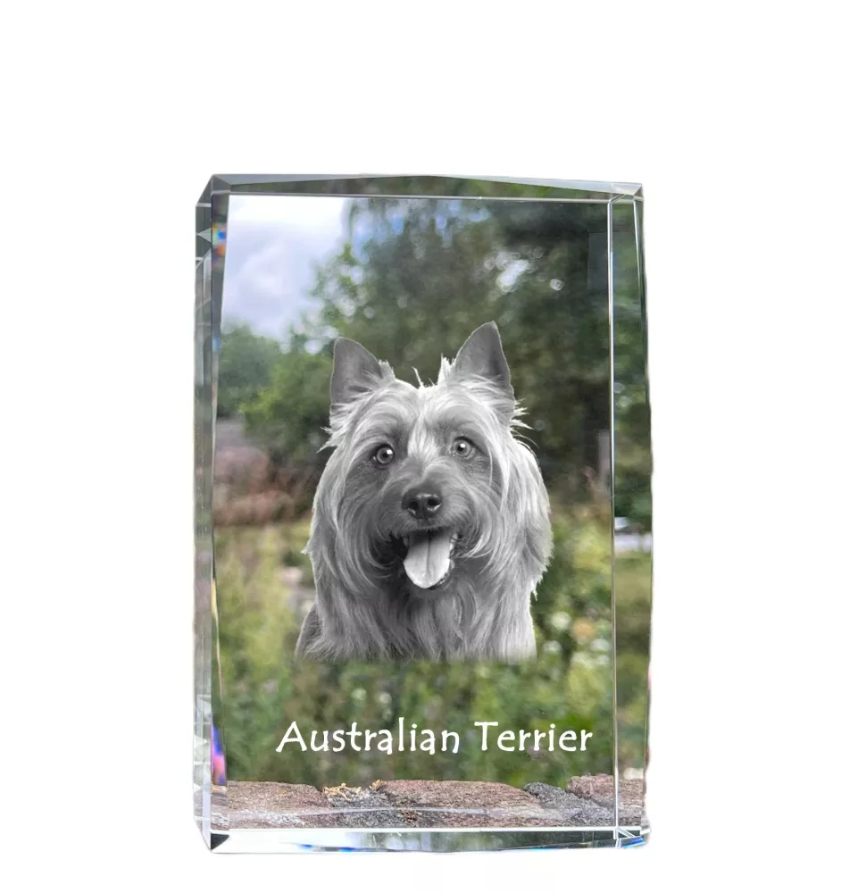Australian Terrier - Kristall mit einem Hundebild, Bild im Glas, moderne Ausstellung des Art-Dog-Bildes.