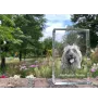 Terrier australien - cristal avec une photo de chien, photo sous verre, exposition moderne de la marque de photos Art-Dog