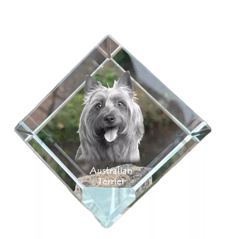 Terrier australien - un cube de cristal avec une photo, une photo de cheval dans le cristal, un presse-papiers cubique de la marque Art-Dog
