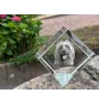 Australian Terrier, Aussie - crystal cube with a photo, photo of a horse in crystal, cubic paperweight from Art-Dog brand