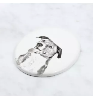 Pinscher autrichien - une plaque commémorative avec une photo de chien, une plaque funéraire avec une impression, une plaque ovale personnalisée de la marque Art-Dog