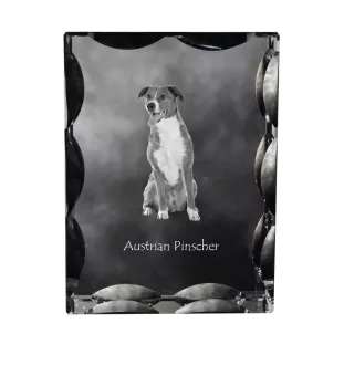 Pinscher autrichien - cristal avec photo de chien, statuette en verre avec photo, cadre exceptionnel avec photo de la marque Art-Dog