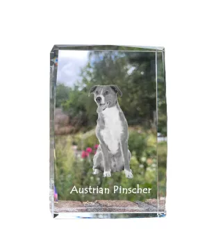 Austrian Pinscher, Österreichischer Pinscher - crystal with a picture of a dog, photo in glass, modern exhibition of Art-Dog brand photo