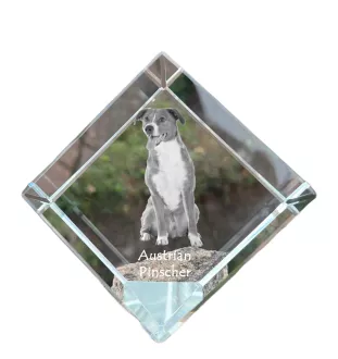 Austrian Pinscher, Österreichischer Pinscher - crystal cube with a photo, photo of a horse in crystal, cubic paperweight from Art-Dog brand