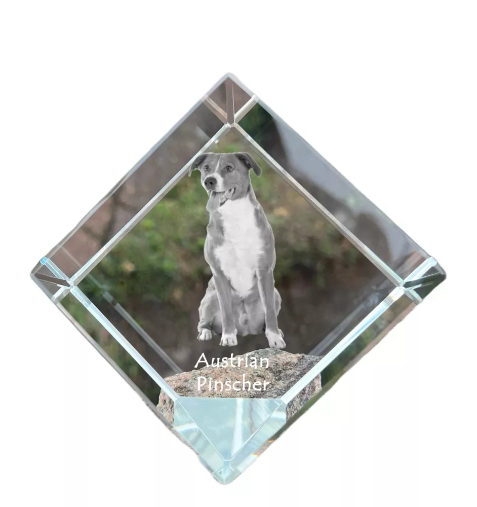Austrian Pinscher, Österreichischer Pinscher - crystal cube with a photo, photo of a horse in crystal, cubic paperweight from Art-Dog brand