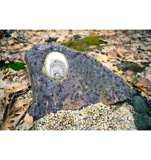 Barbet - une plaque commémorative avec une photo de chien, une plaque funéraire avec une impression, une plaque ovale personnalisée de la marque Art-Dog