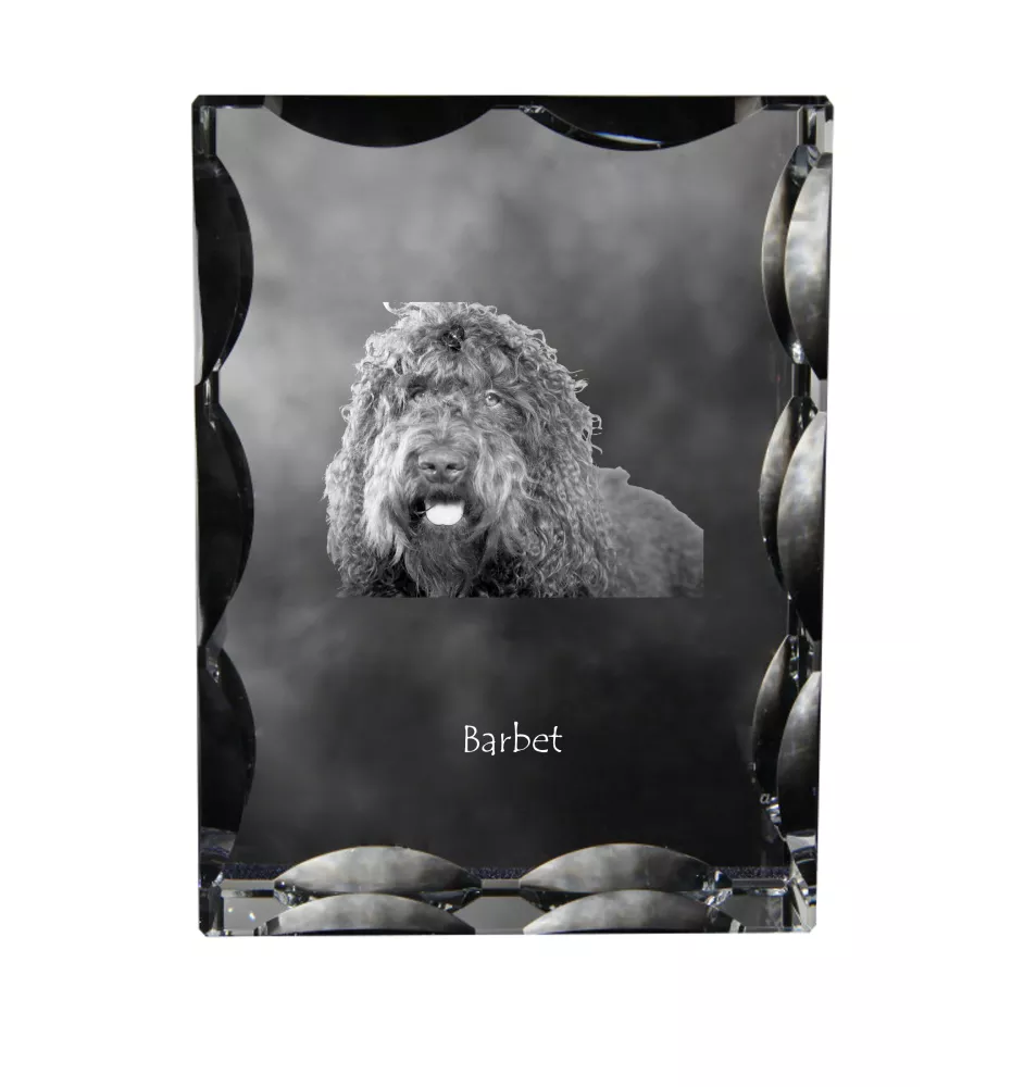 Barbet, French Water Dog - crystal with a picture of a dog, glass statuette with a picture, unique frame with a picture from Art-Dog brand