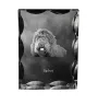 Barbet, French Water Dog - crystal with a picture of a dog, glass statuette with a picture, unique frame with a picture from Art-Dog brand
