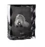 Barbet, French Water Dog - crystal with a picture of a dog, glass statuette with a picture, unique frame with a picture from Art-Dog brand