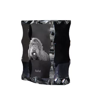 Barbet - cristal avec photo de chien, statuette en verre avec photo, cadre exceptionnel avec photo de la marque Art-Dog