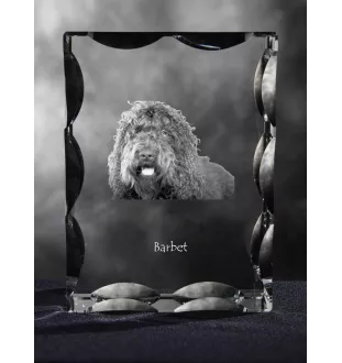 Barbet, Französischer Wasserhund - Kristall mit einem Hundebild, Glasstatuette mit einem Bild, einzigartiger Bilderrahmen der Marke Art-Dog