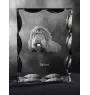 Barbet, French Water Dog - crystal with a picture of a dog, glass statuette with a picture, unique frame with a picture from Art-Dog brand