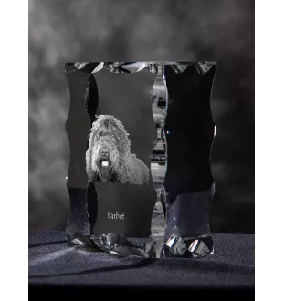 Barbet, Französischer Wasserhund - Kristall mit einem Hundebild, Glasstatuette mit einem Bild, einzigartiger Bilderrahmen der Marke Art-Dog