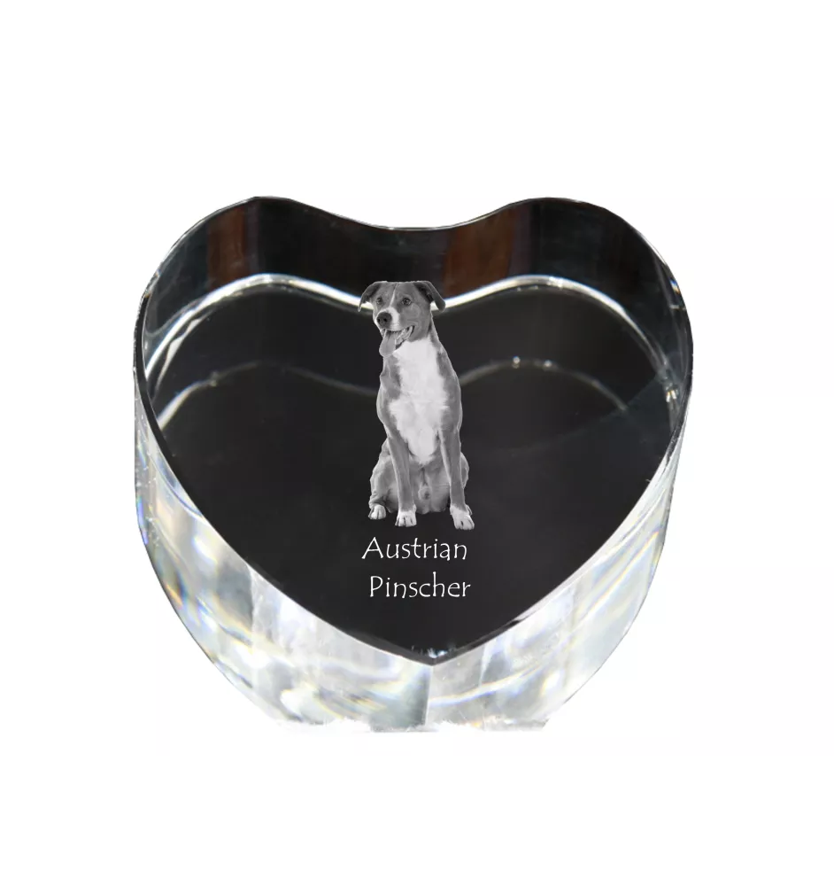 Austrian Pinscher, Österreichischer Pinscher - a photo of a dog in crystal, crystal heart, unique photo frame from the Art-Dog brand