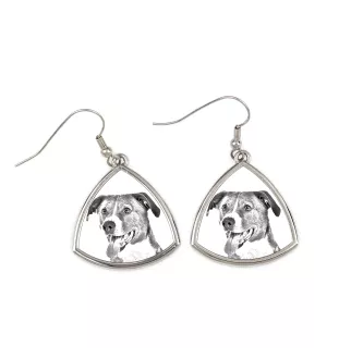 Pinscher autrichien - boucles d'oreilles avec chien, boucles d'oreilles pendantes avec photo, bijoux personnalisés avec impression de la marque Art-Dog
