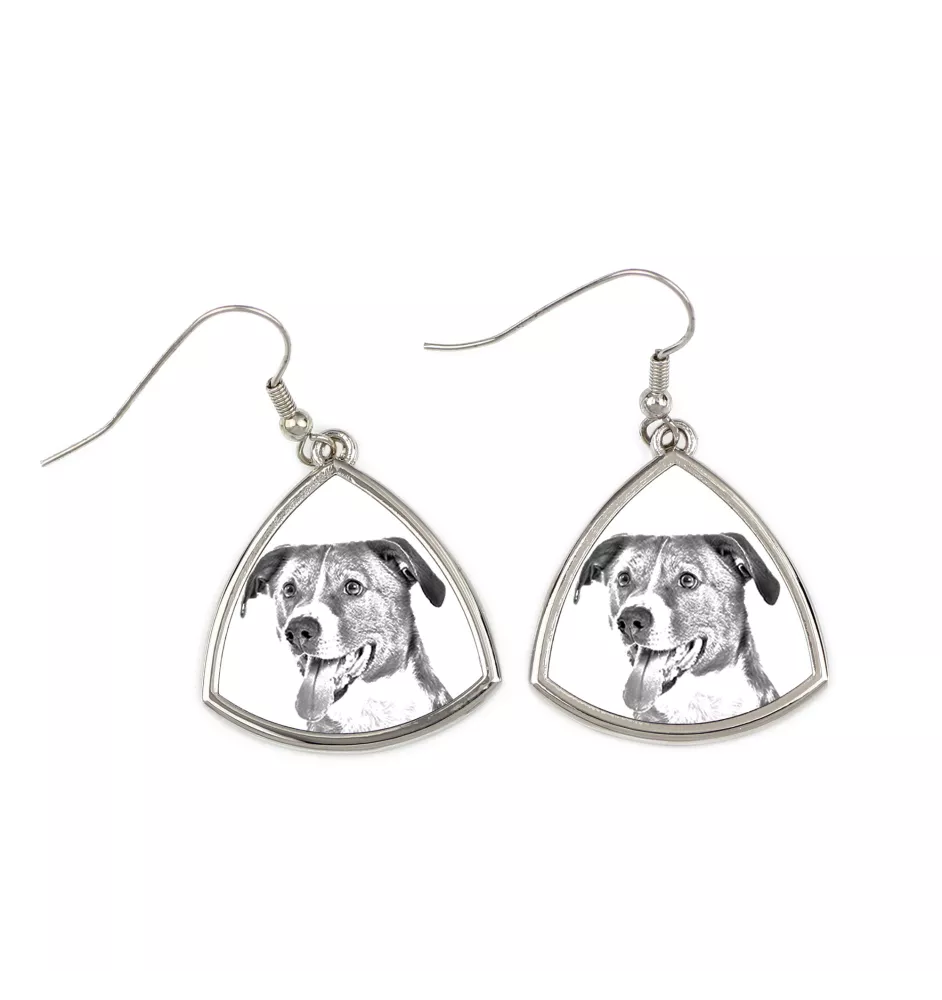 Pinscher autrichien - boucles d'oreilles avec chien, boucles d'oreilles pendantes avec photo, bijoux personnalisés avec impression de la marque Art-Dog