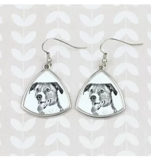 Österreichischer Pinscher - Hund Ohrringe, hängende Ohrringe mit Bild, personalisierter Schmuck mit dem Aufdruck der Marke Art-Dog