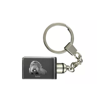 Barbet, Französischer Wasserhund - Schlüsselanhänger aus Kristall mit Hundefoto, beleuchteter Schlüsselanhänger, einzigartiges Geschenk der Marke Art-Dog