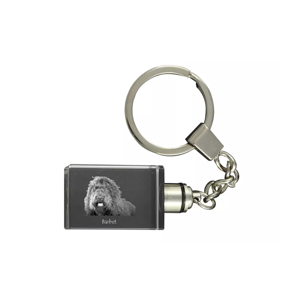 Barbet, Französischer Wasserhund - Schlüsselanhänger aus Kristall mit Hundefoto, beleuchteter Schlüsselanhänger, einzigartiges Geschenk der Marke Art-Dog