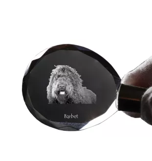 Barbet, French Water Dog - pendant with a photo of a dog, crystal key ring in a gift box, a unique gift by Art-Dog