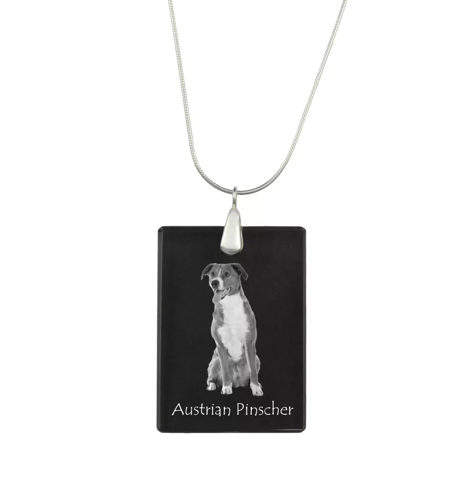 Pinscher autrichien - Pendentif en cristal avec chien, collier en argent avec photo, pendentif personnalisé par la marque Art-Dog