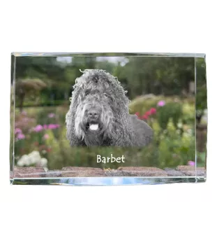 Barbet, Französischer Wasserhund - Kristall mit einem Hundebild, Bild im Glas, moderne Ausstellung des Art-Dog-Bildes.
