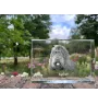 Barbet, French Water Dog - crystal with a picture of a dog, photo in glass, modern exhibition of Art-Dog brand photo