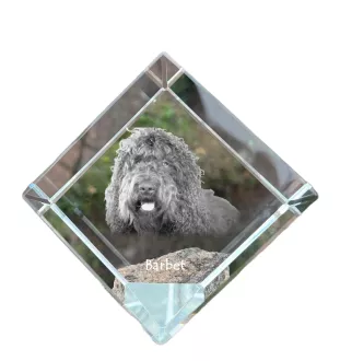Barbet, French Water Dog - crystal cube with a photo, photo of a horse in crystal, cubic paperweight from Art-Dog brand