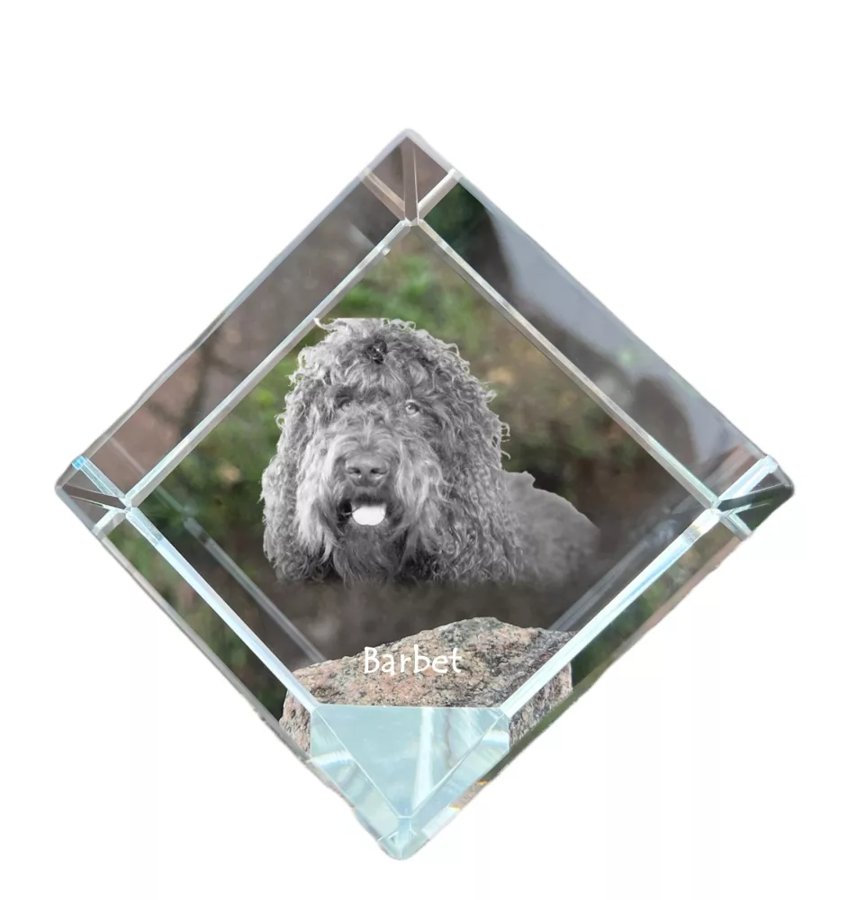 Barbet, French Water Dog - crystal cube with a photo, photo of a horse in crystal, cubic paperweight from Art-Dog brand