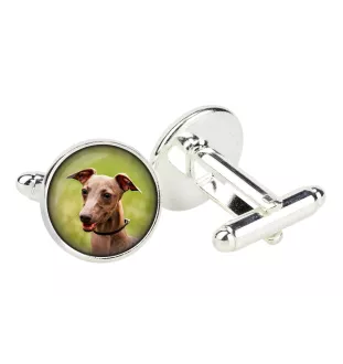 Azawakh - Manschettenknöpfe in einer Schachtel, handgefertigter Schmuck, Produkt der Marke Art-Dog