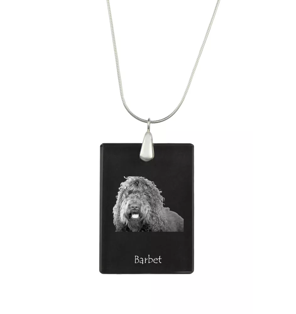 Barbet, French Water Dog - Crystal pendant with dog, silver necklace with photo, personalised pendant by Art-Dog brand