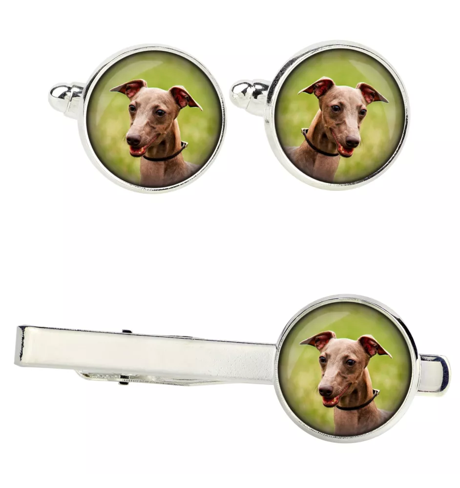 Azawakh, Tuareg Sloughi - cufflinks and tie with your photo, a suit decoration, men's jewelry from the Art-Dog brand.