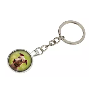 Azawakh - Schlüsselanhänger in einer Box, eigenes Foto, Schlüsselanhänger der Marke Art-Dog