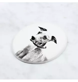 Azawakh, Tuareg Sloughi - commemorative plaque with a photo of a dog, tombstone with a print, personalized oval plaque from the Art-Dog brand