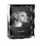 Azawakh - Kristall mit einem Hundebild, Glasstatuette mit einem Bild, einzigartiger Bilderrahmen der Marke Art-Dog