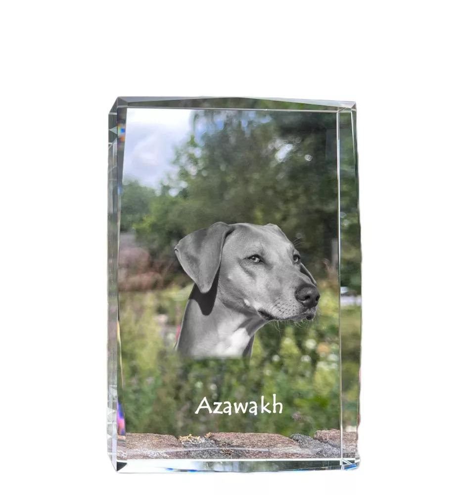 Azawakh - Kristall mit einem Hundebild, Bild im Glas, moderne Ausstellung des Art-Dog-Bildes.