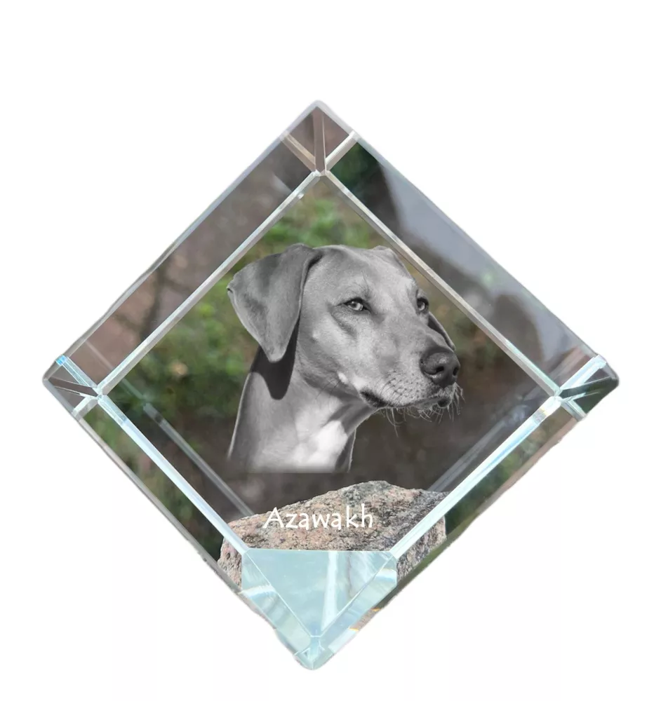 Azawakh, Azawagh - un cube de cristal avec une photo, une photo de cheval dans le cristal, un presse-papiers cubique de la marque Art-Dog