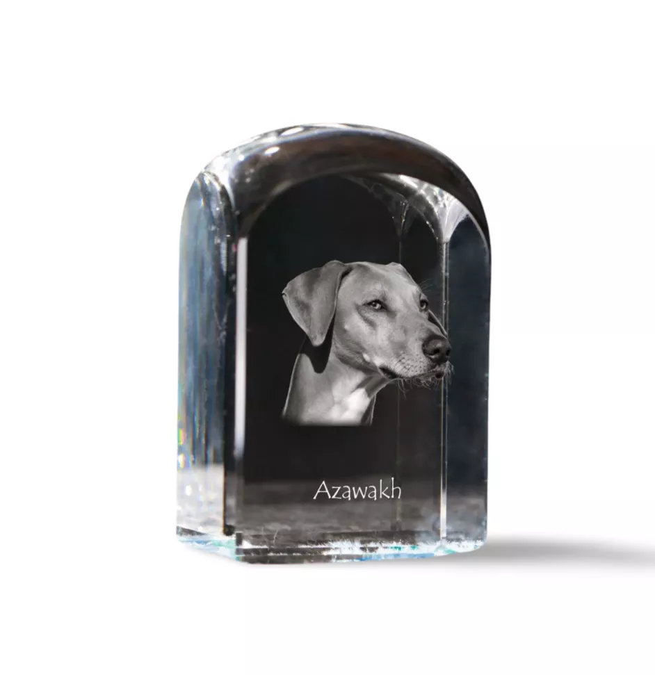 Azawakh - Kristallwürfel mit Bild, Hundebild im Kristall, sechseckiger Papierclip von Art-Dog.