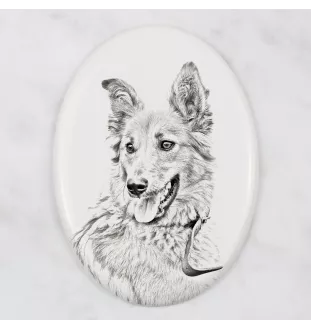 Baskischer Schäferhund, Pastor Vasco - Gedenktafel mit einem Foto eines Hundes, Grabplatte mit Druck, personalisierte ovale Platte der Marke Art-Dog