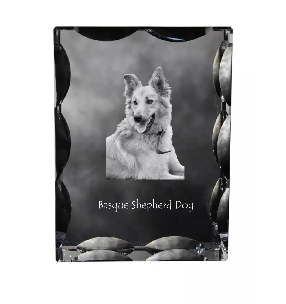 Basque Shepherd Dog, Basque Sheepdog - crystal with a picture of a dog, glass statuette with a picture, unique frame with a picture from Art-Dog brand